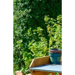 Dobar 29053 Zusammenklappbarer Pflanztisch Aus Kiefernholz, 85 X 44 X 89 Cm -OUTSUNNY Shop 1622612000 prod 004