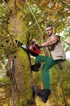 Scheppach Benzin - Kettensäge Inkl. Inkl. ProCut Kette- & Schwert -OUTSUNNY Shop 2260075000 prod 003