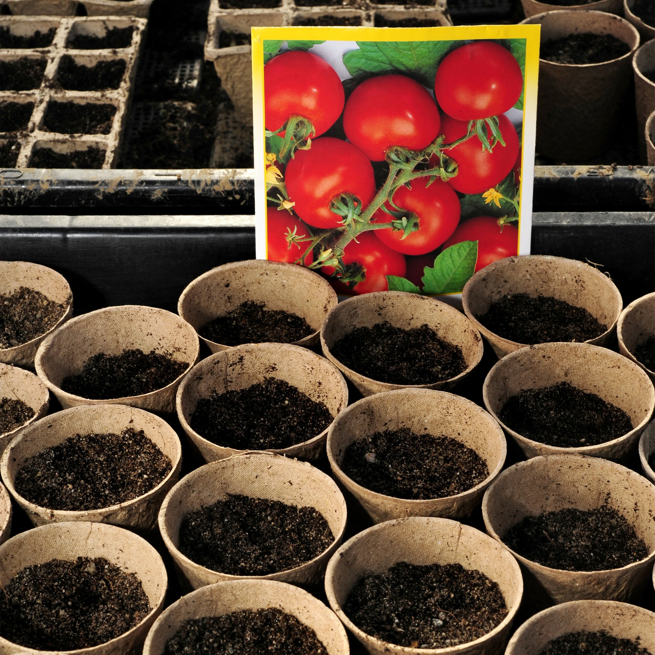 Relaxdays Anzuchttöpfe 80 Stück 5 Relaxdays Anzuchttöpfe 80 Stück – Bild 3