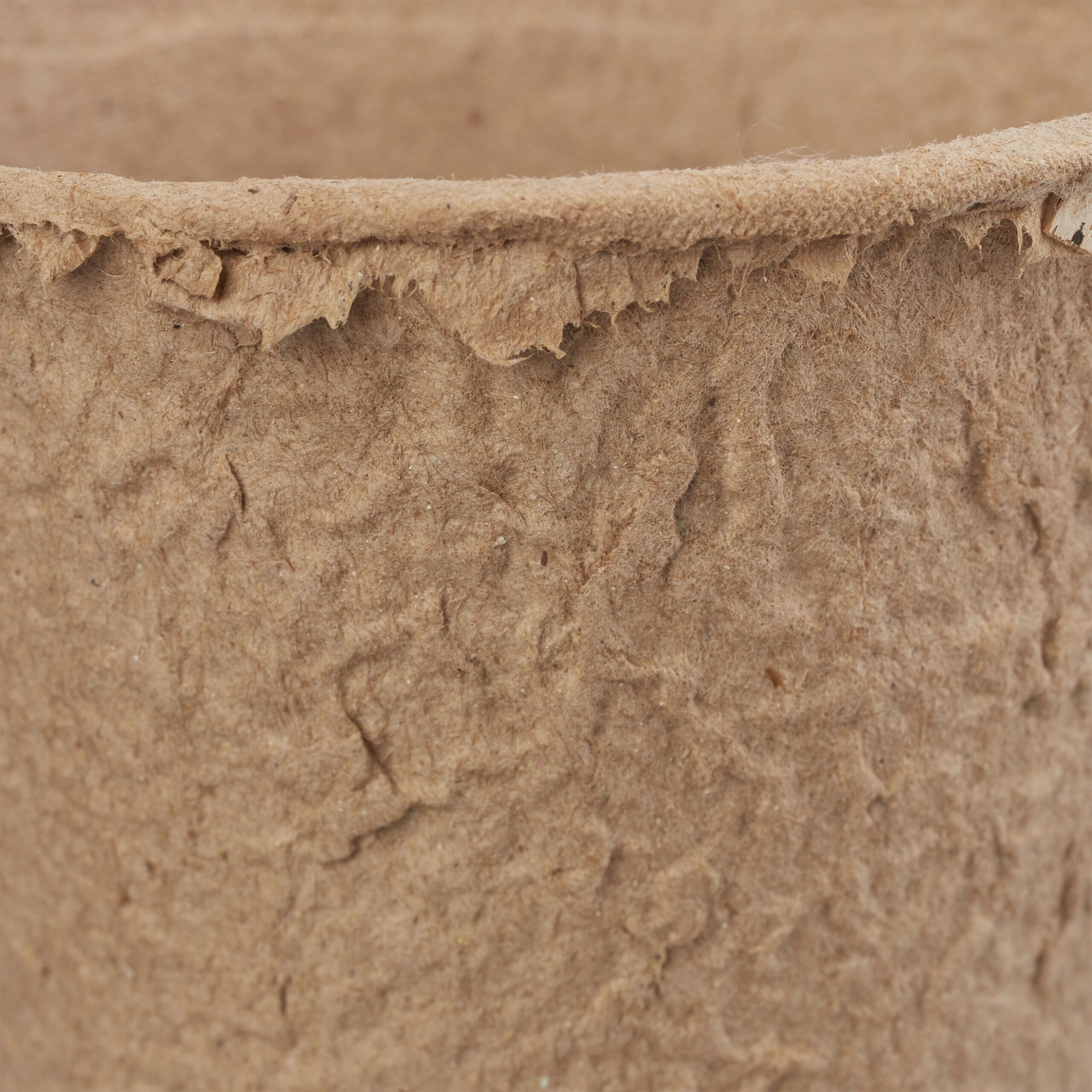 Relaxdays Anzuchttöpfe 80 Stück 8 Relaxdays Anzuchttöpfe 80 Stück – Bild 6