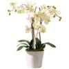 Kunstpflanze Orchidee Mit Weißem Keramiktopf "Elegance" -OUTSUNNY Shop 8600342900 4053877 prod 001
