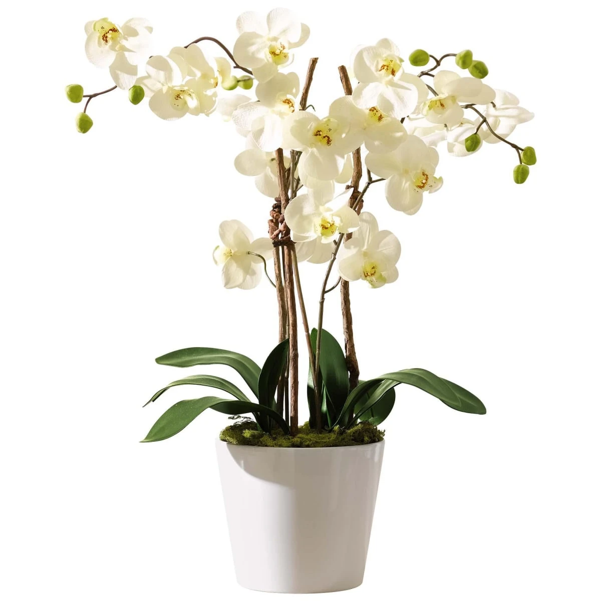 Kunstpflanze Orchidee Mit Weißem Keramiktopf "Elegance" 3 Kunstpflanze Orchidee Mit Weißem Keramiktopf "Elegance"