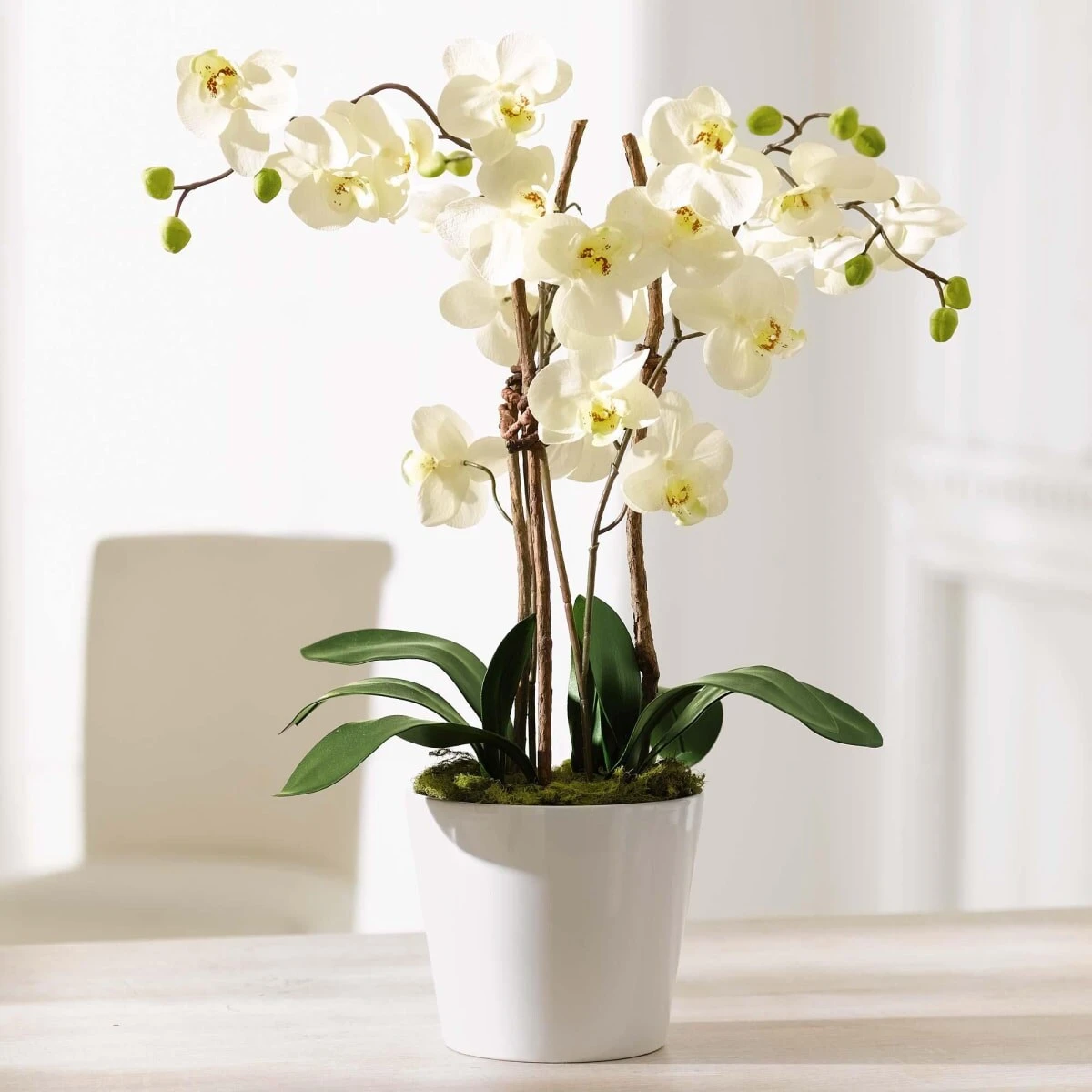 Kunstpflanze Orchidee Mit Weißem Keramiktopf "Elegance" 4 Kunstpflanze Orchidee Mit Weißem Keramiktopf "Elegance" – Bild 2